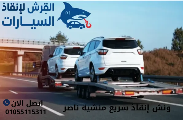 ونش إنقاذ سريع منشية ناصر