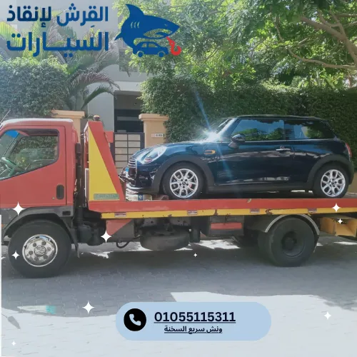 ونش سريع السخنة